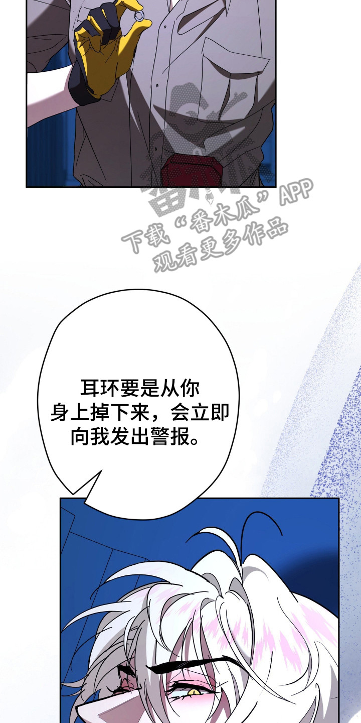 无间搭档漫画名字叫什么漫画,第18章：耳环5图