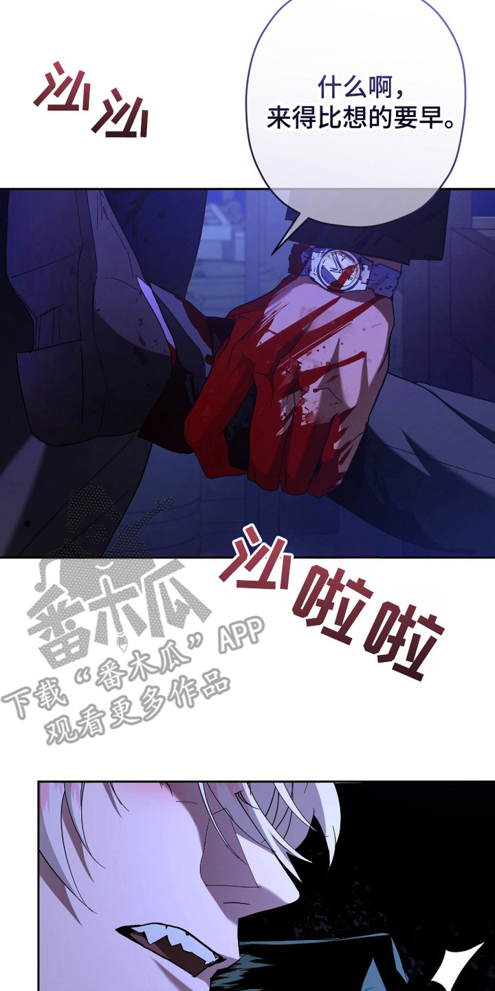 无双漫画,第9章：交易地点5图