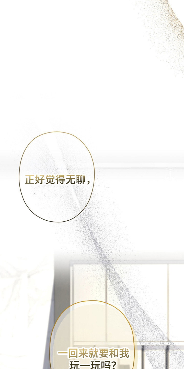 无双漫画,第13章：全家福2图