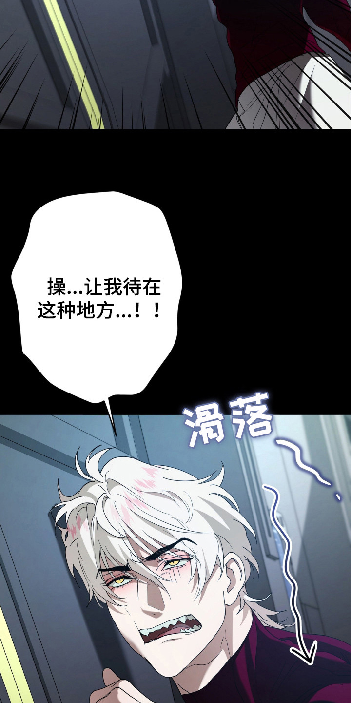 无间搭档漫画,第4章：训练1图