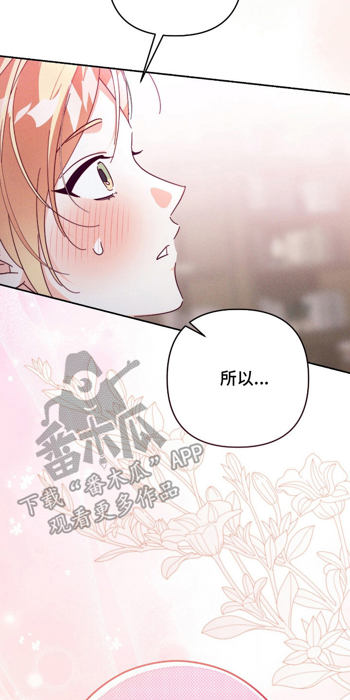 悔婚当日短剧免费观看漫画,第15章：狼的伴侣1图