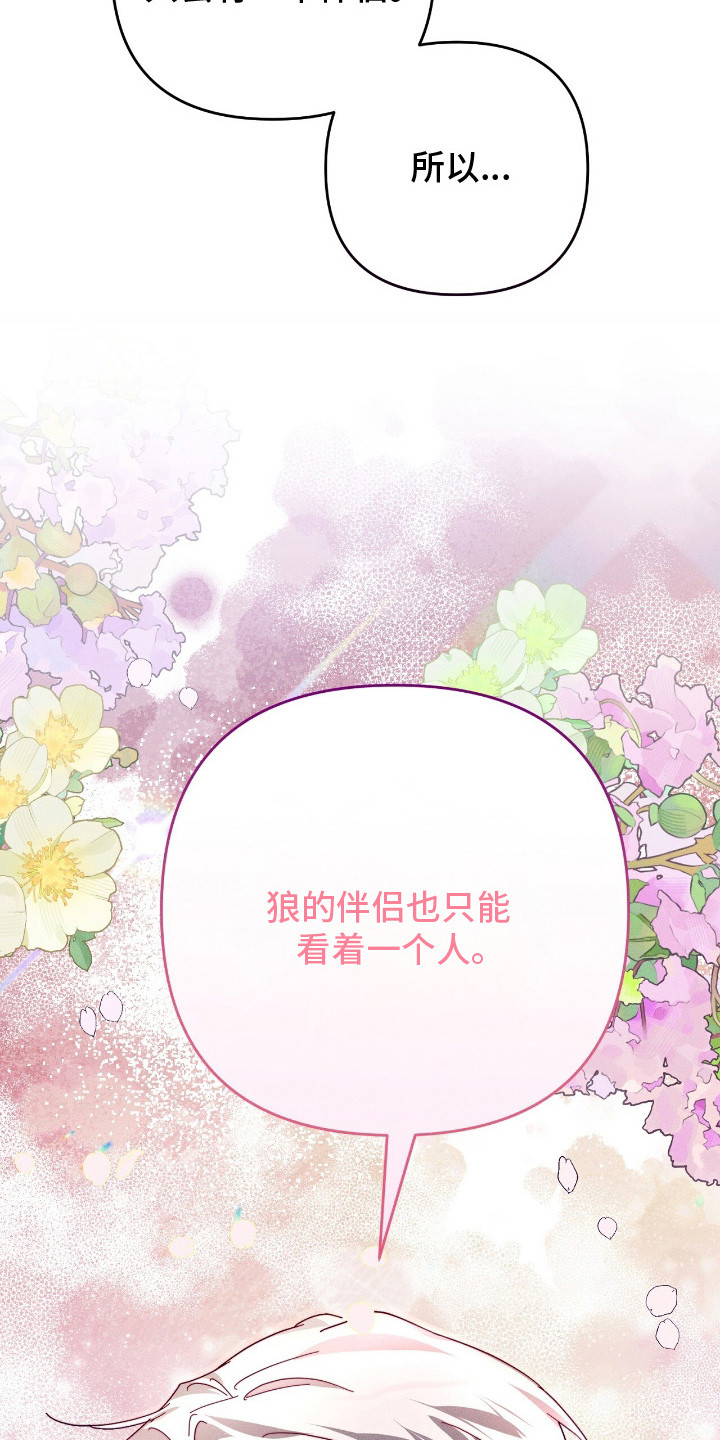 悔婚才知我是大帝小说漫画,第15章：狼的伴侣4图