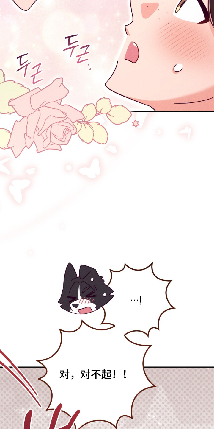 悔婚当天精彩看点漫画,第21章：站住2图