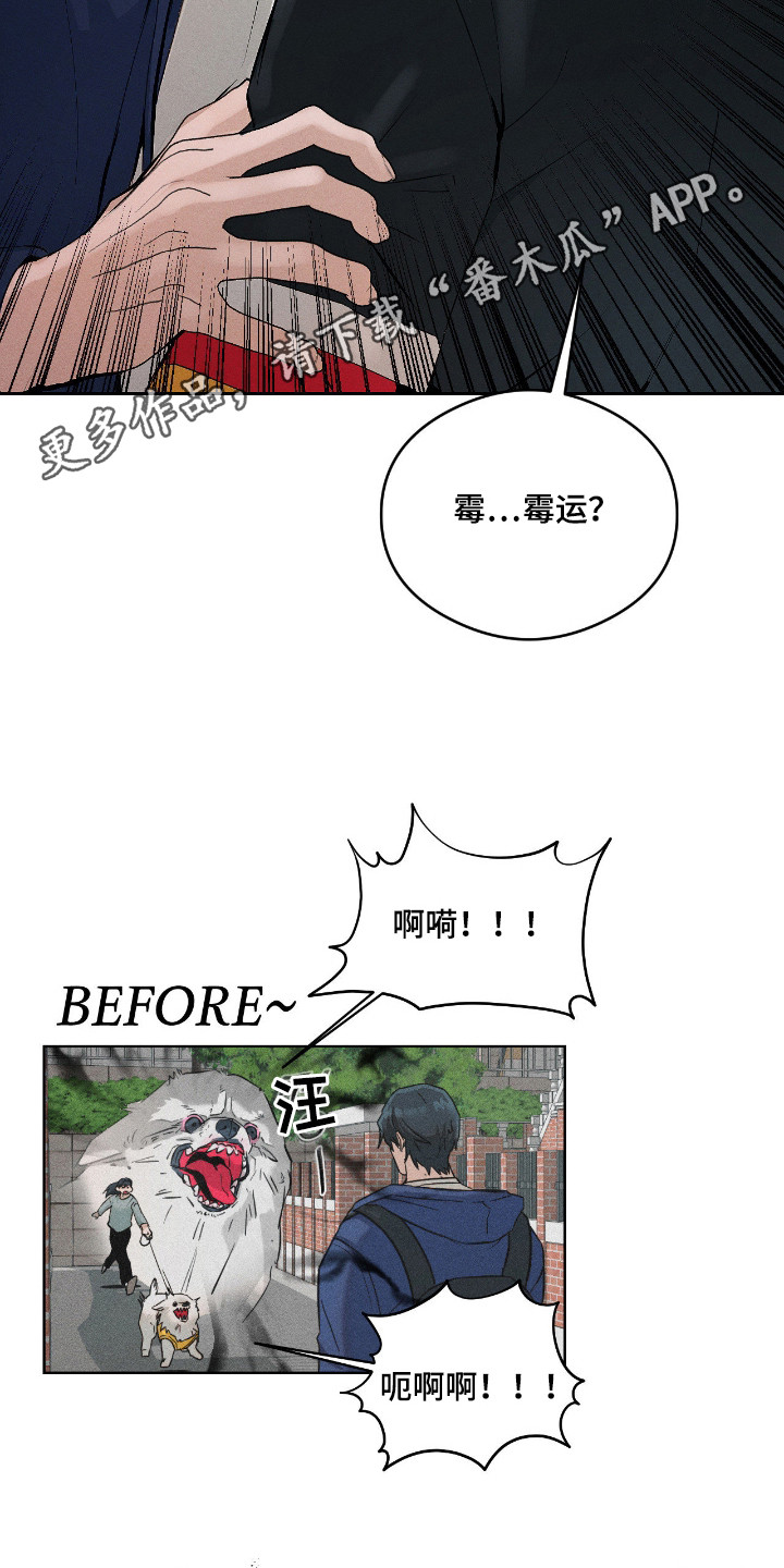 请认准此神棍漫画,第8章：不再倒霉5图