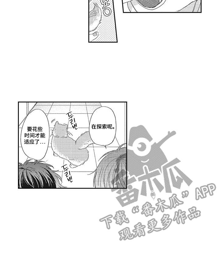 意外的甜蜜漫画,第3章：接受提议4图