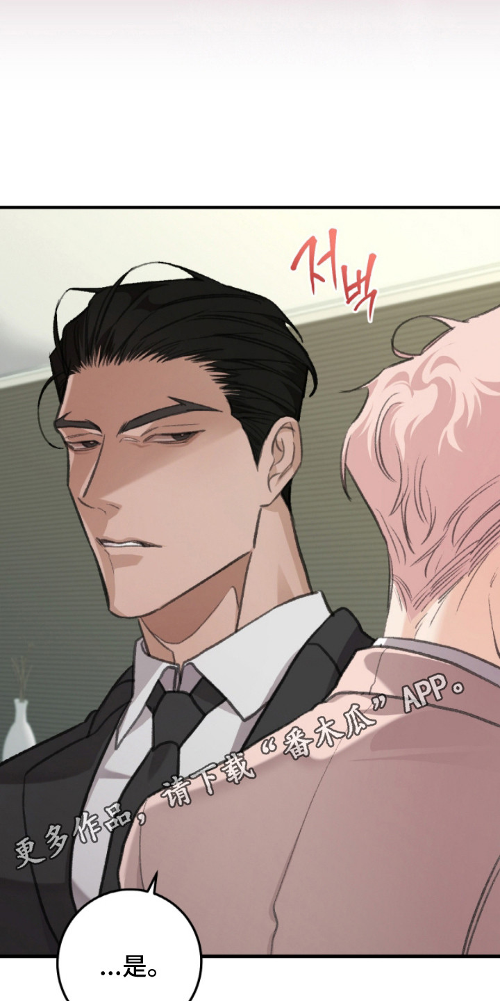 越界招惹温弦全文免费阅读漫画,第3章：请多关照2图