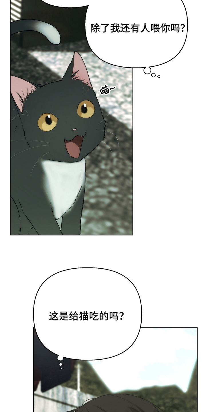 不良少年养成手册漫画,第3章：迷之米饭2图