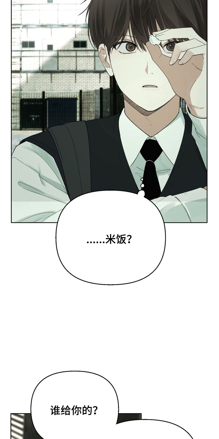 不良少年养成手册漫画,第3章：迷之米饭1图