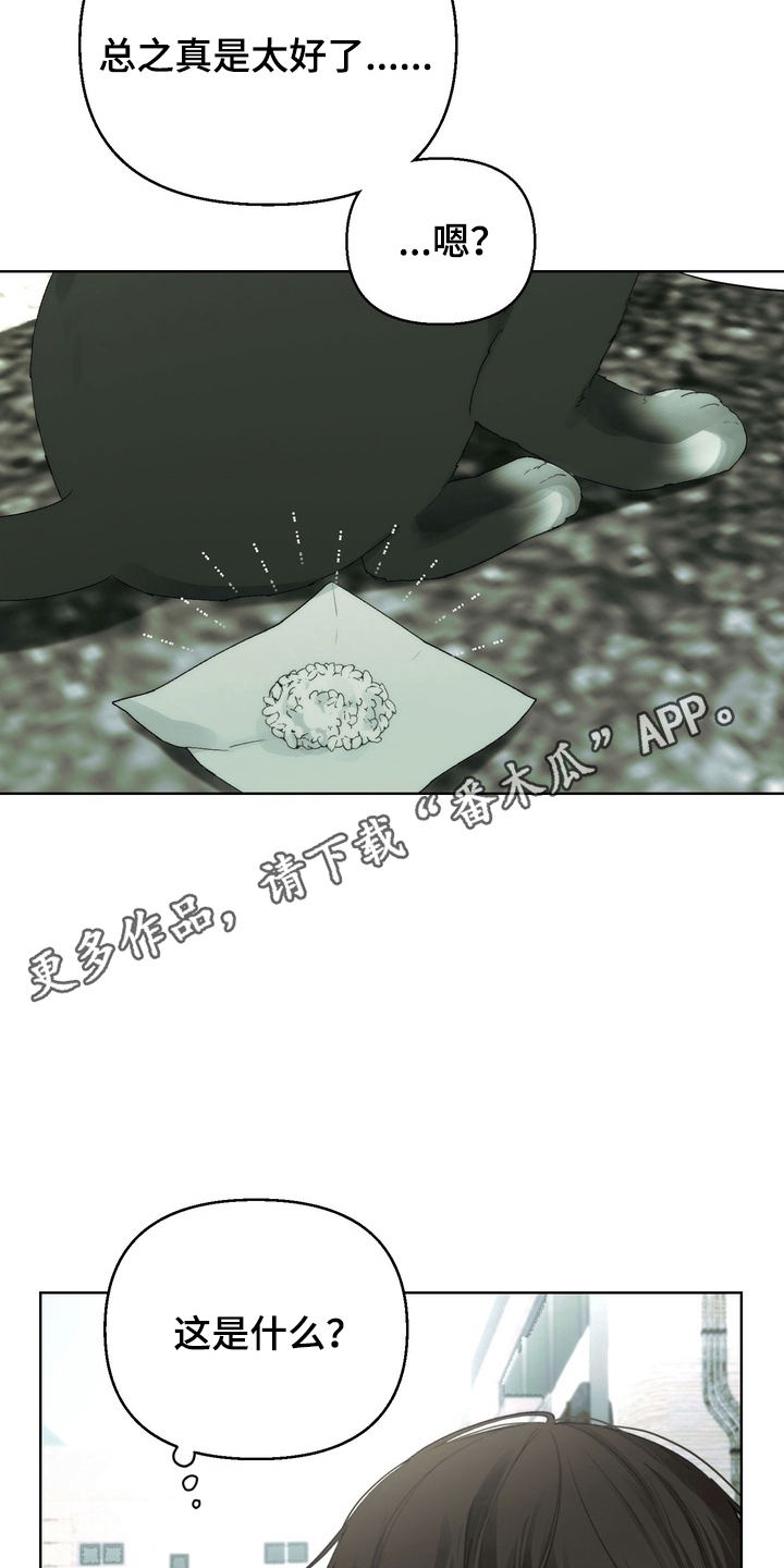 不良少年养成手册漫画,第3章：迷之米饭5图