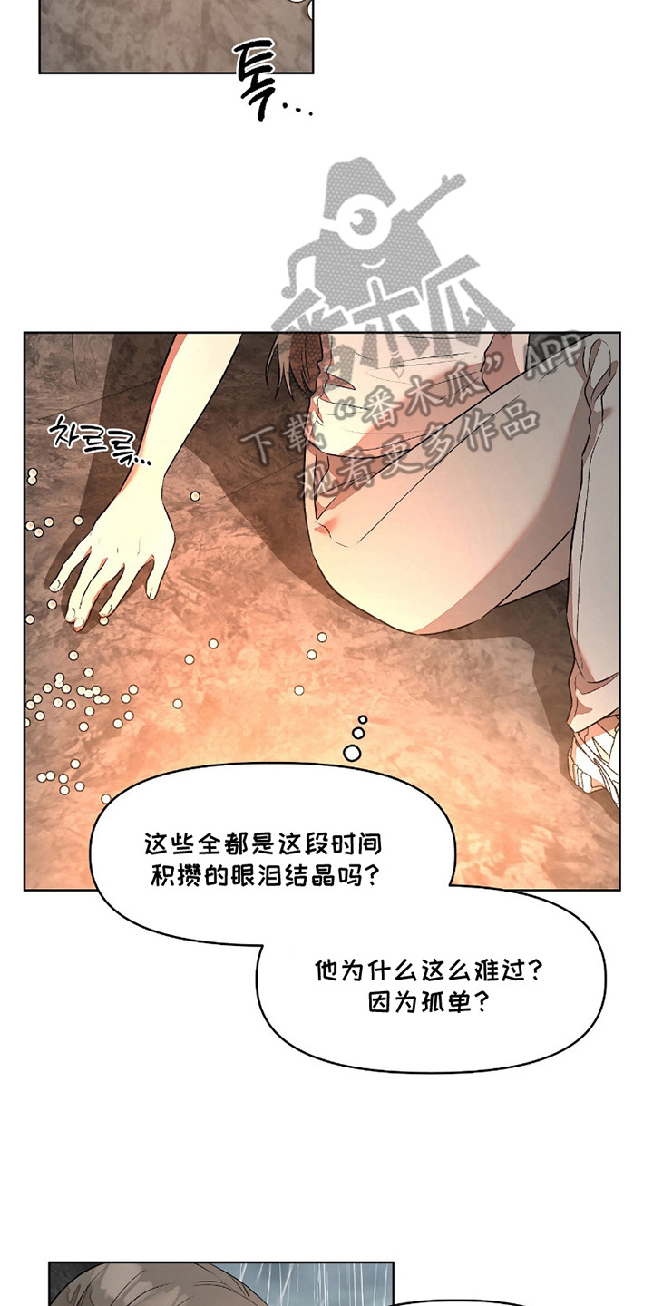 钓个人鱼当室友讲了什么漫画,第8章：人鱼的哭声1图