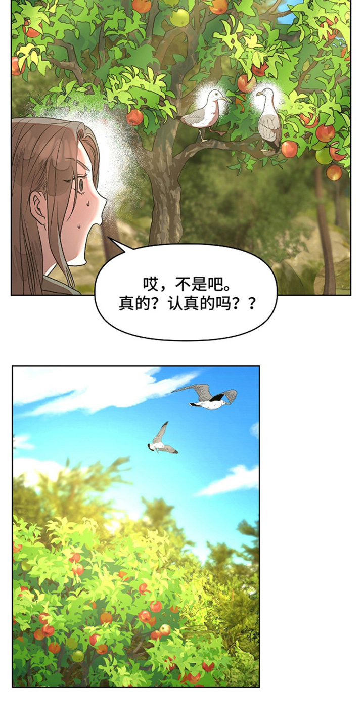 第5章：精华2