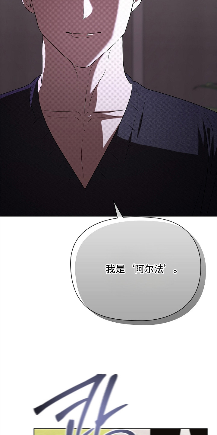 触手可及的温暖作文600字漫画,第14章：阿尔法4图