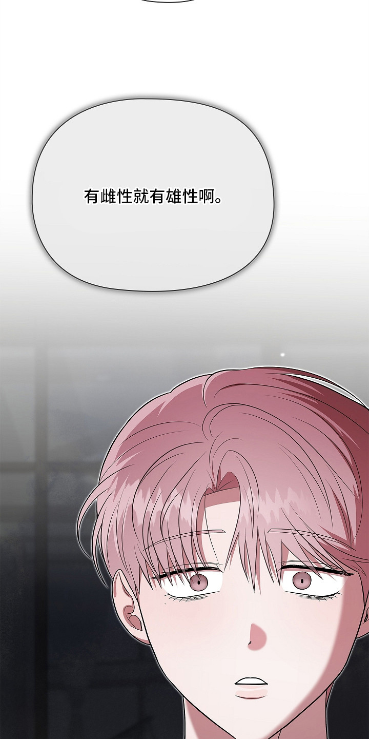 触手可及的温暖作文600字漫画,第14章：阿尔法5图