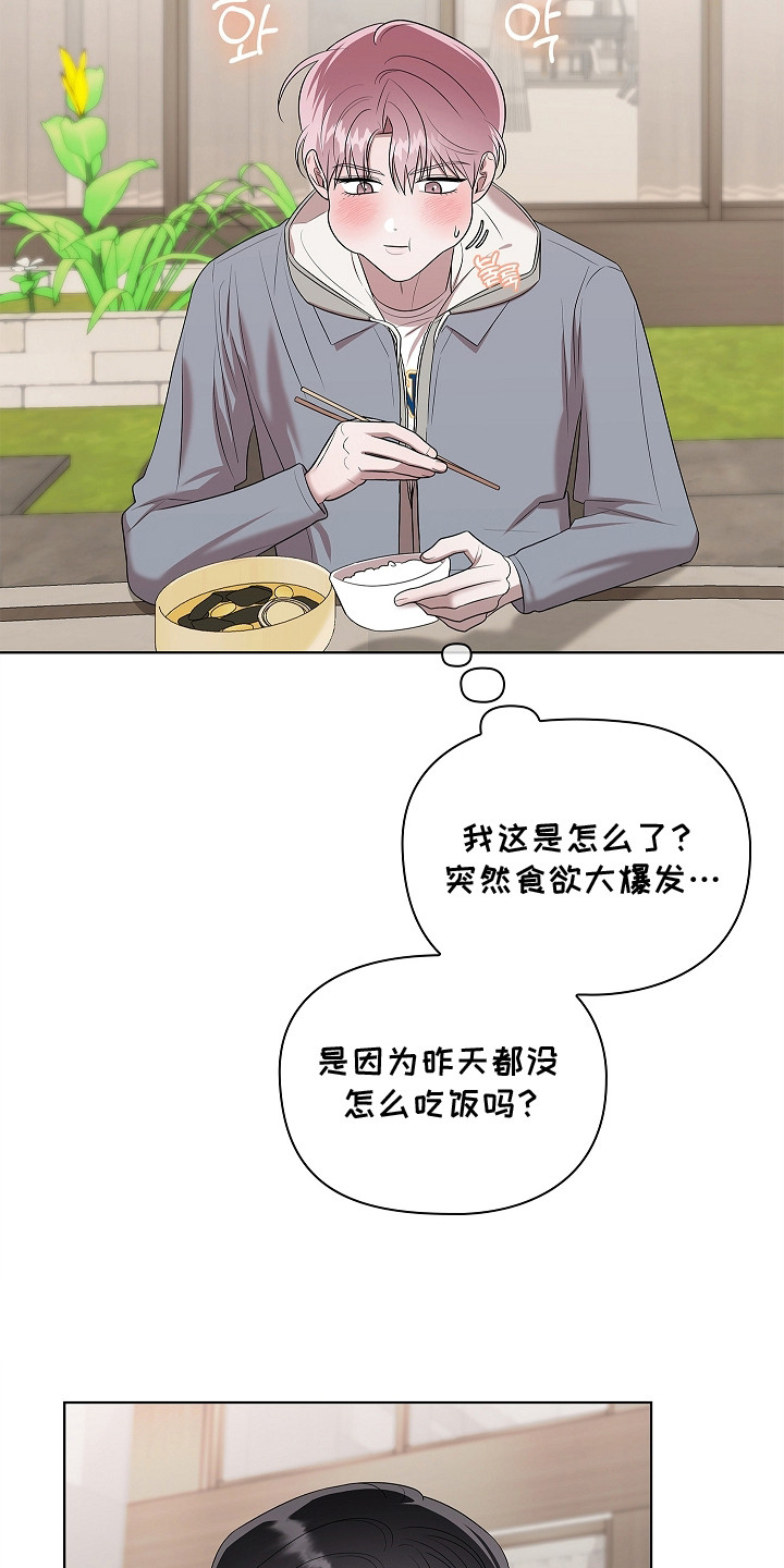 触手可及的温暖作文600字漫画,第14章：阿尔法2图