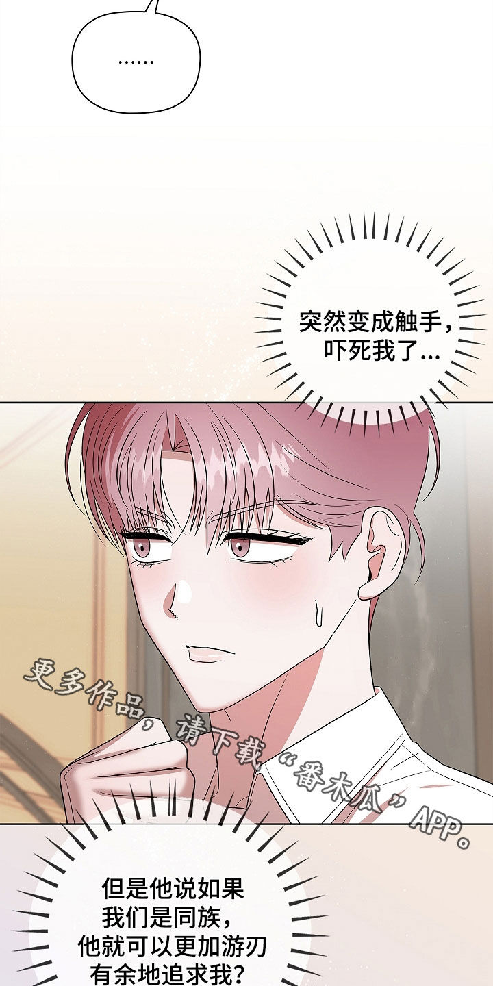 触手可及的温柔大结局漫画,第20章：一见钟情1图