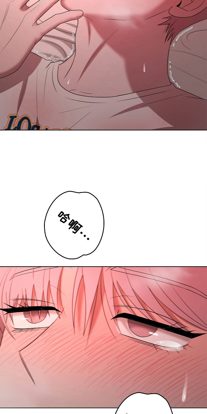 触手可及原型真实事件漫画,第17章：晕头转向3图