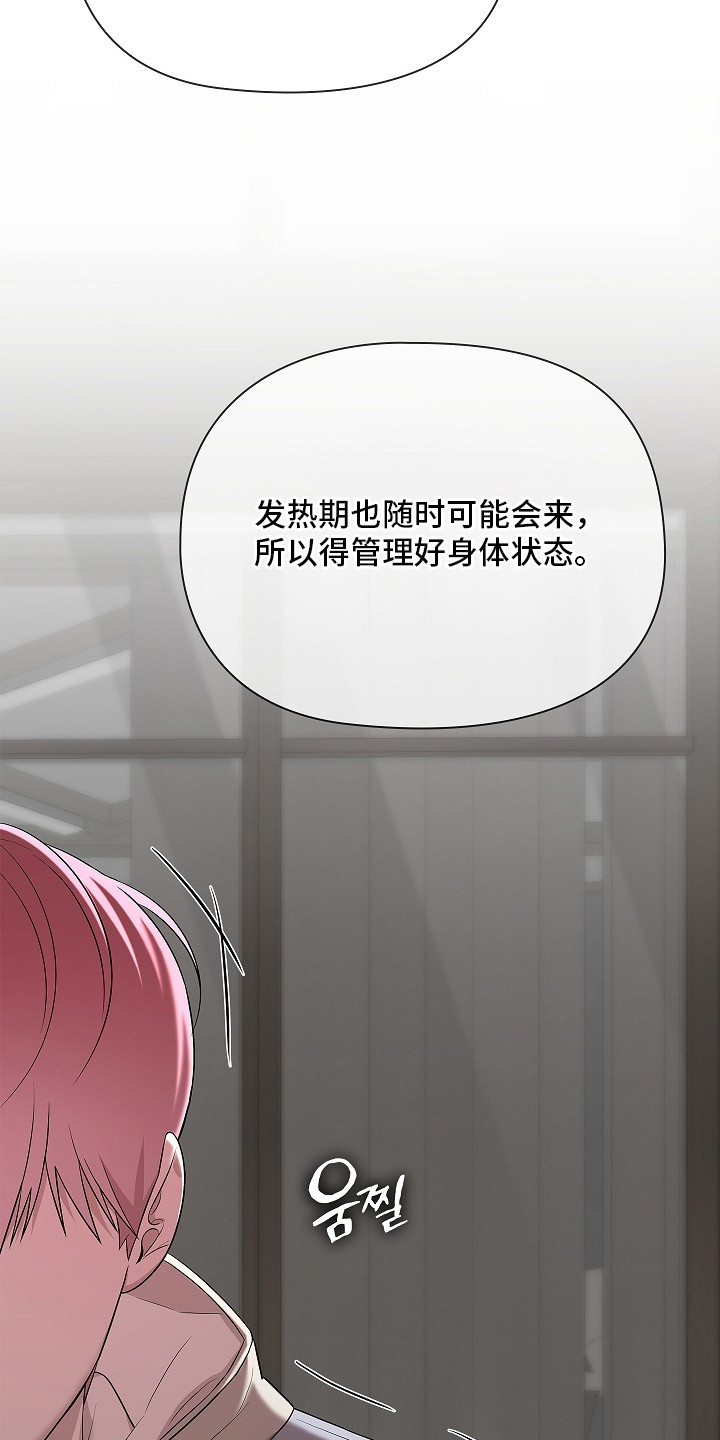 触手可及的温暖作文600字漫画,第14章：阿尔法4图