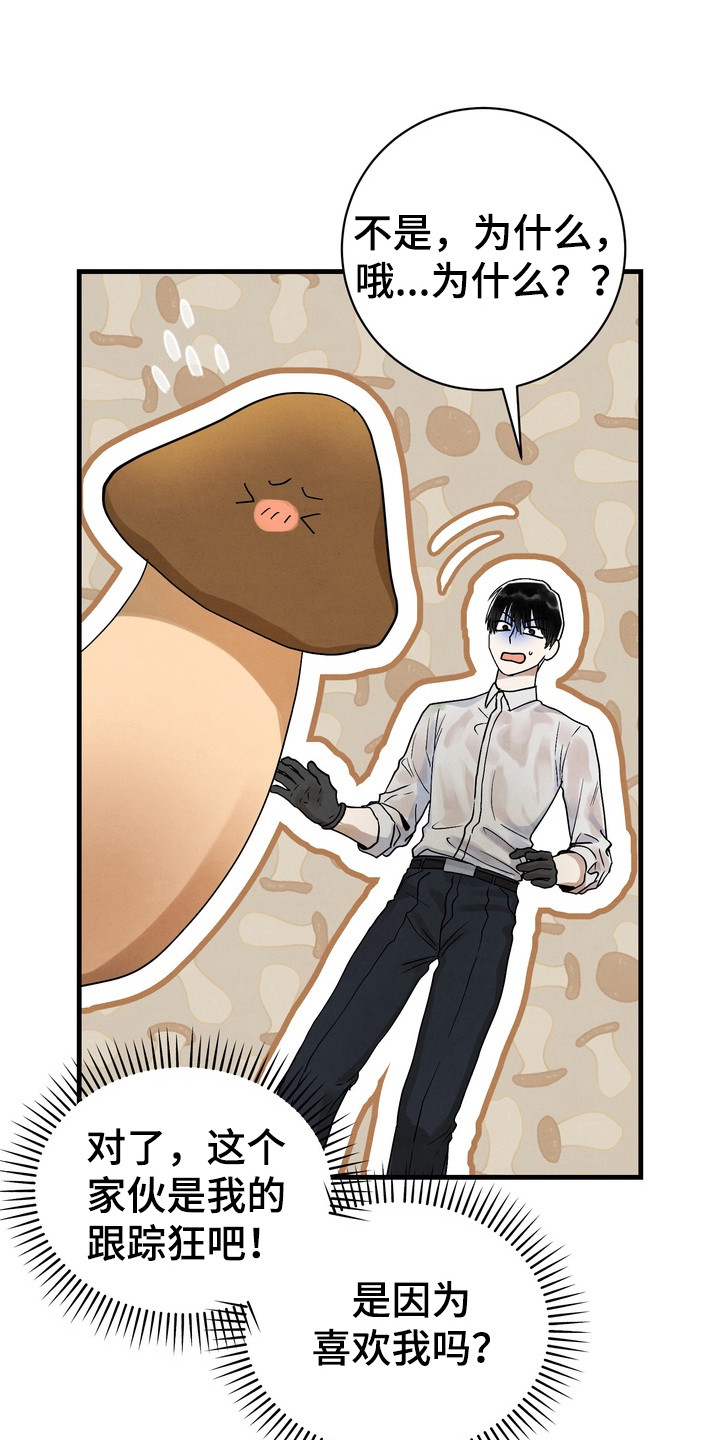 邋遢犬与洁癖猫漫画,第4章：仔细冲洗1图