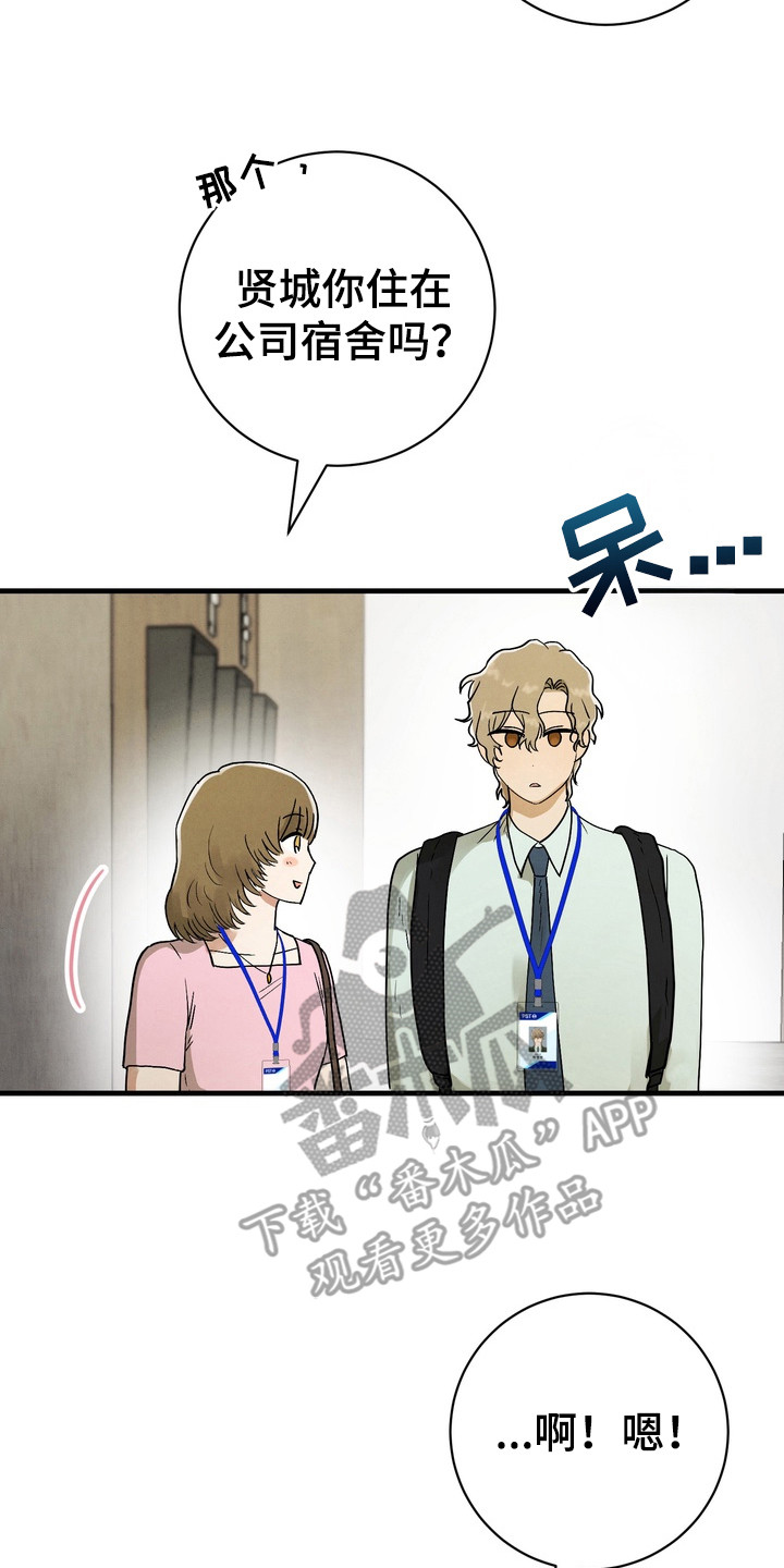 邋遢犬与洁癖猫漫画,第11章：追随4图