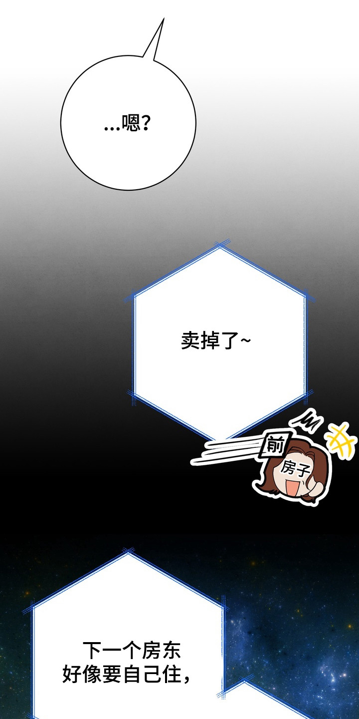 邋遢犬与洁癖猫漫画,第1章：强迫症4图
