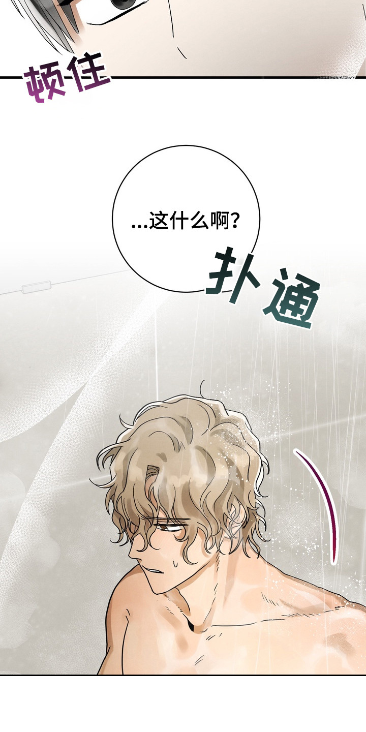 邋遢犬与洁癖猫漫画,第4章：仔细冲洗5图