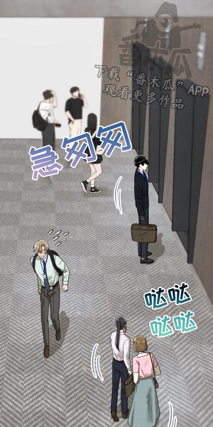 邋遢犬与洁癖猫漫画,第7章：人气提升4图