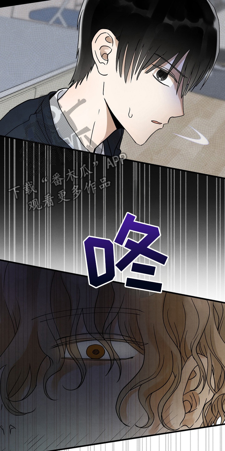邋遢犬与洁癖猫漫画,第3章：照片5图