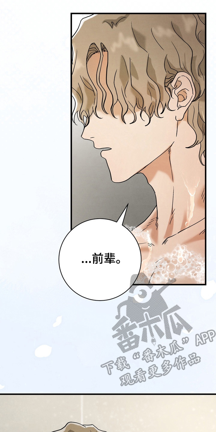 邋遢犬与洁癖猫漫画,第14章：什么关系3图
