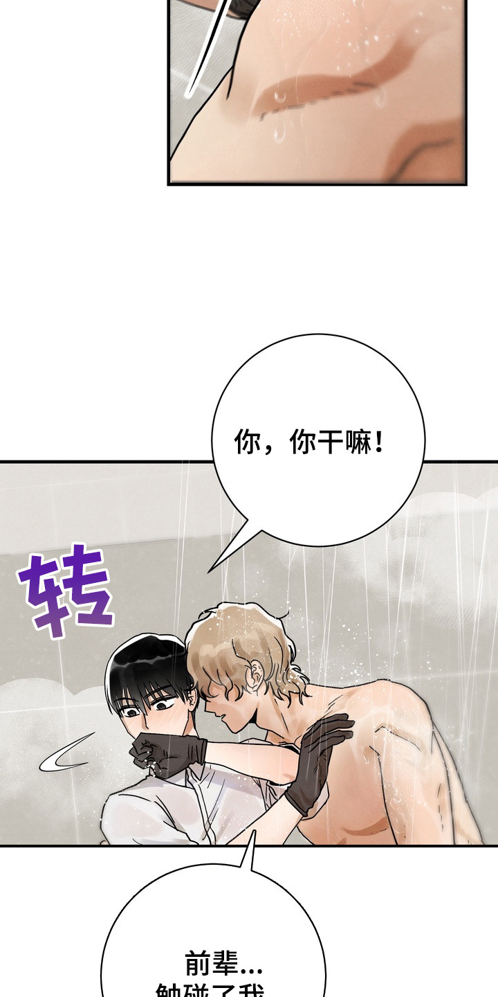 邋遢犬与洁癖猫漫画,第5章：帮忙解决1图