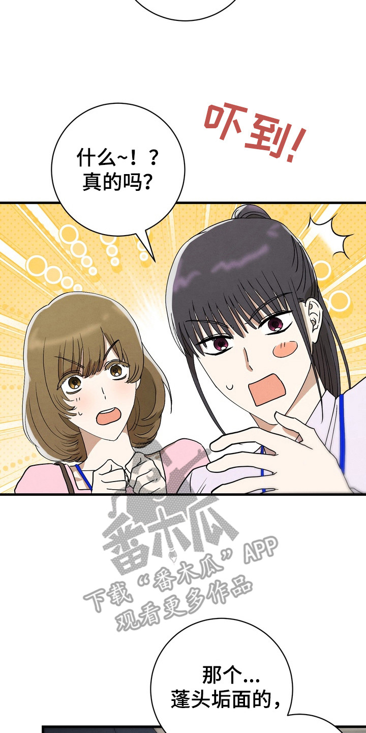 邋遢犬与洁癖猫漫画,第7章：人气提升2图