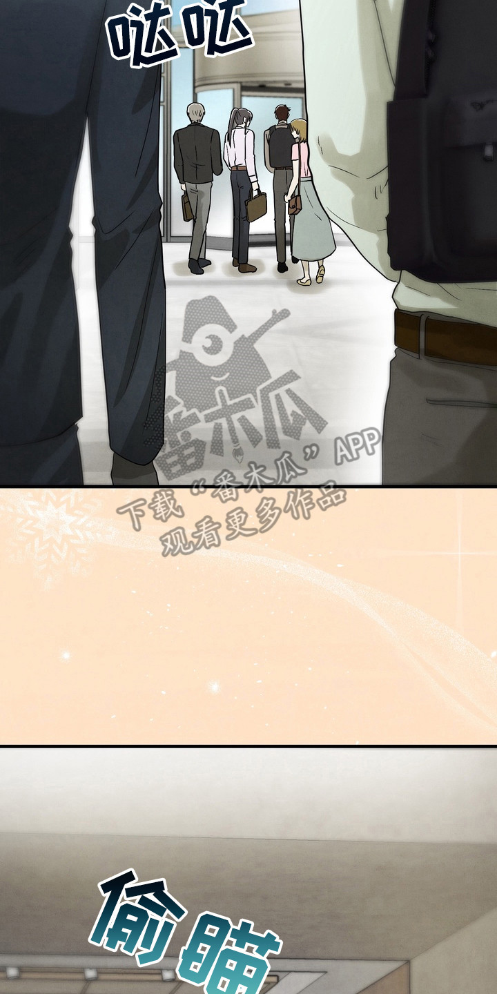 邋遢犬与洁癖猫漫画,第11章：追随2图