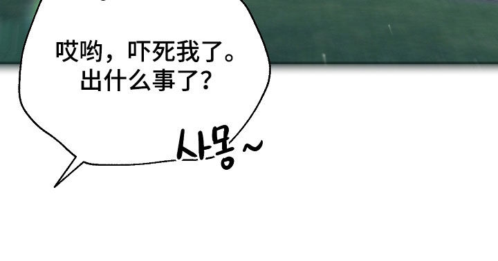 顶线犯规漫画,第28章：随心所欲一点4图