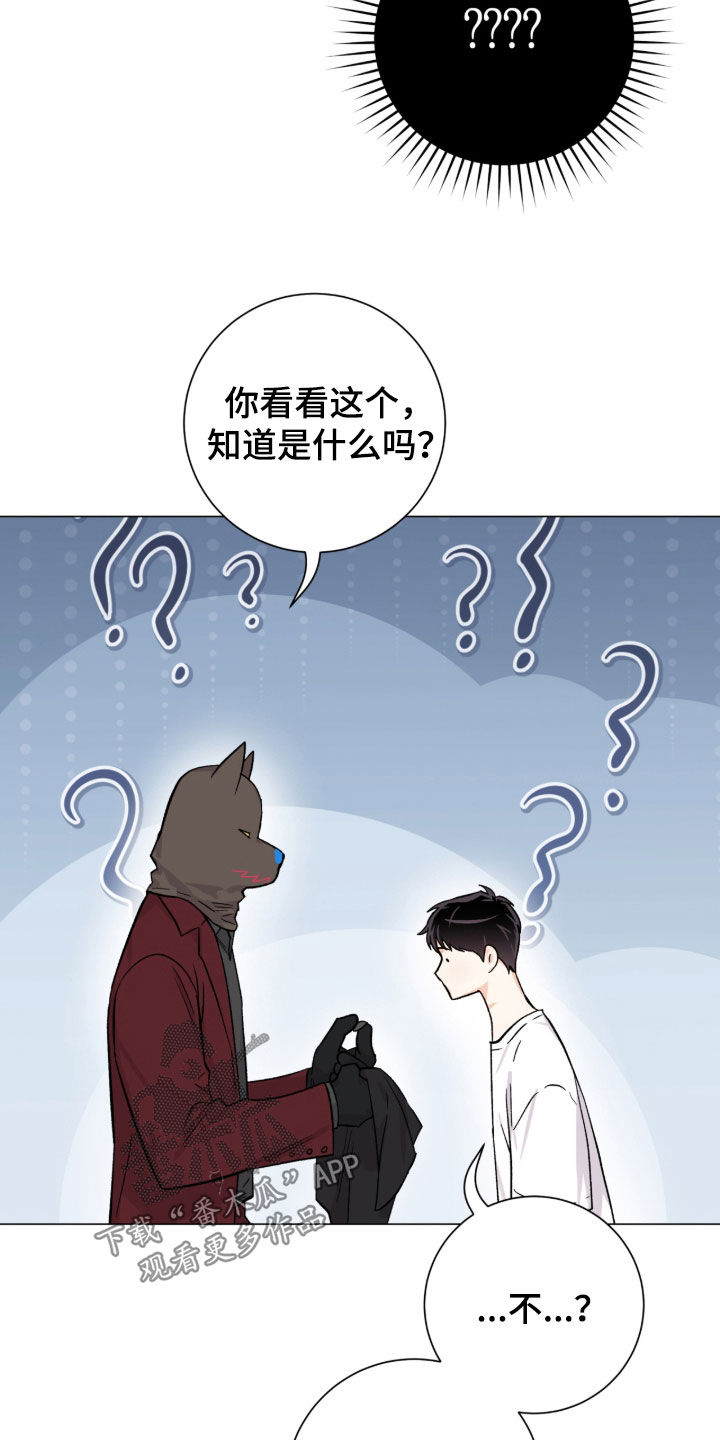 欧文的心脏漫画,第56章：又是因为我4图