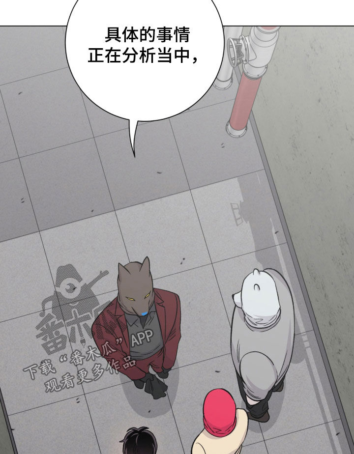 欧文的心脏漫画,第56章：又是因为我5图