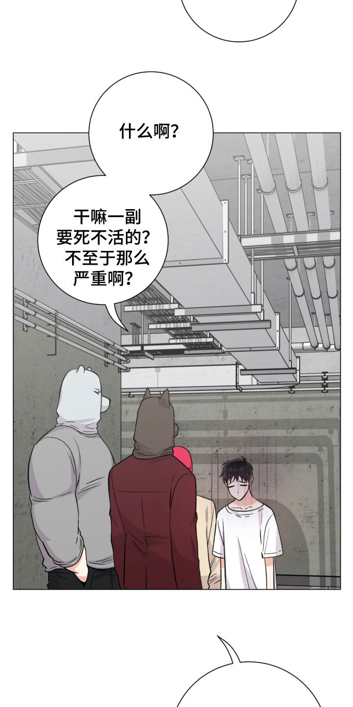 欧文的心脏漫画,第56章：又是因为我4图