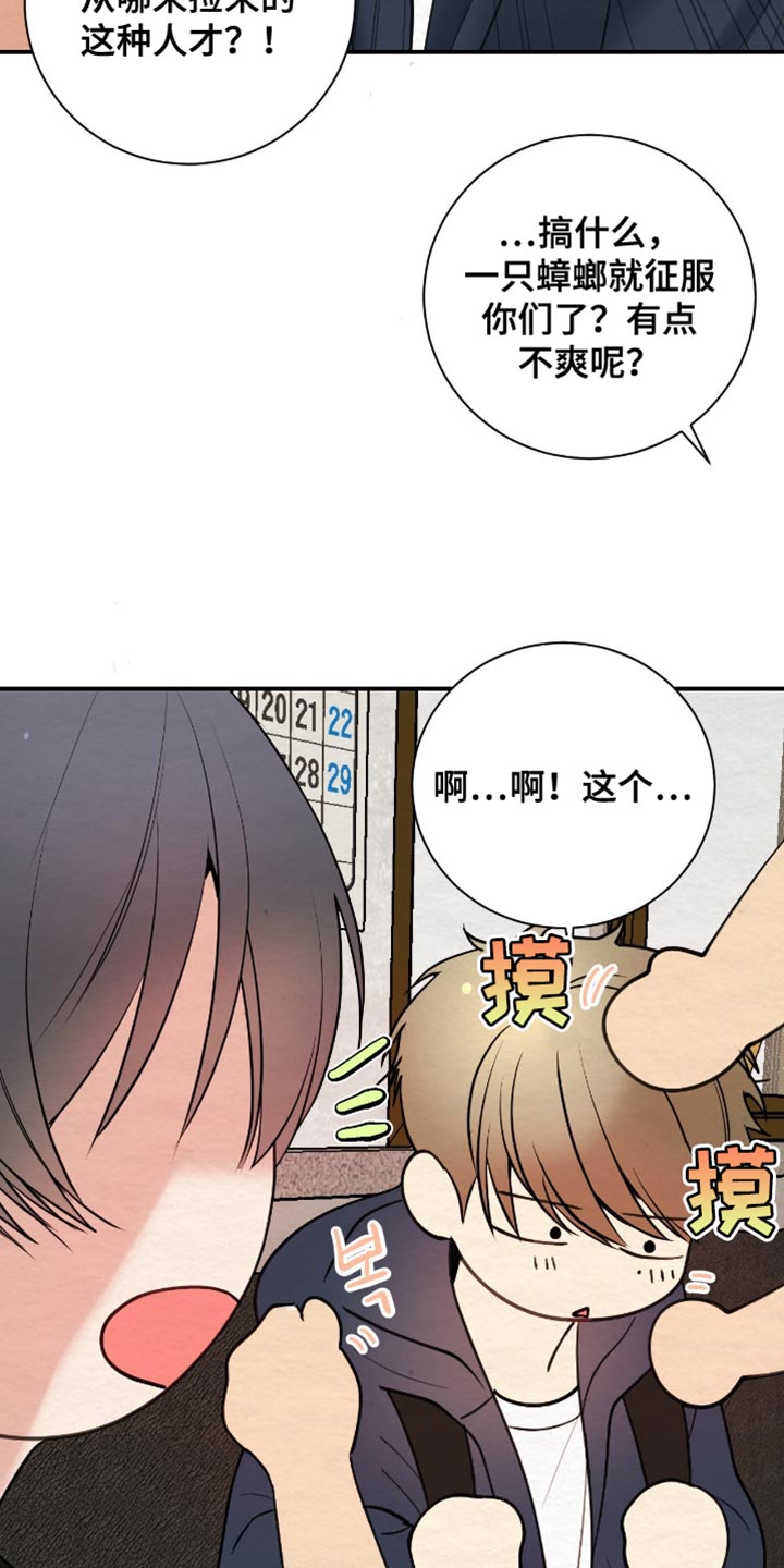 困在他的迷局漫画,第20章：高级人力5图