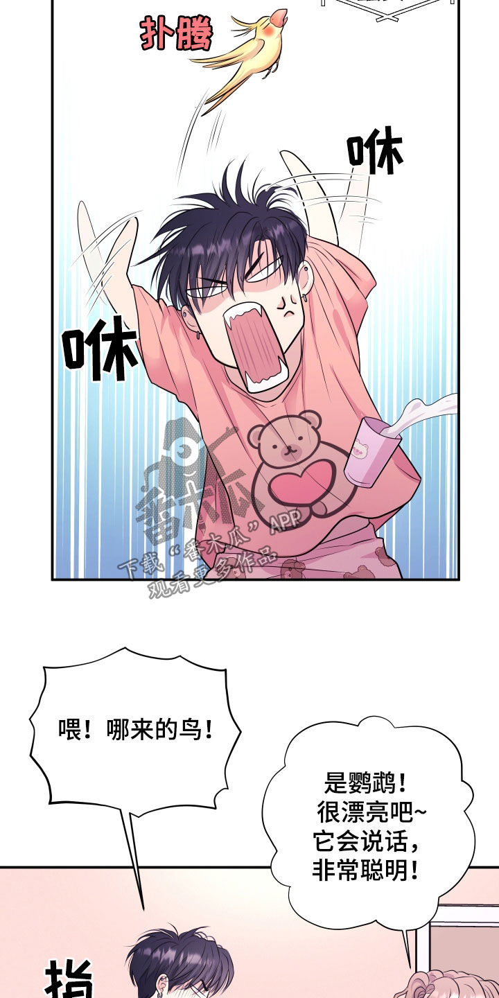 瑕疵品改造计划漫画,第28章：交往吧4图