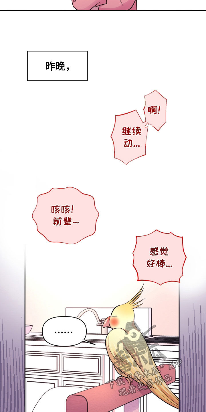 瑕疵品改造计划漫画,第28章：交往吧1图
