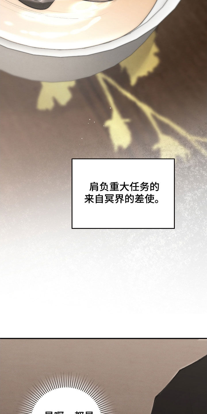 隔世契约蛙漫叫什么漫画,第76章：故事2图