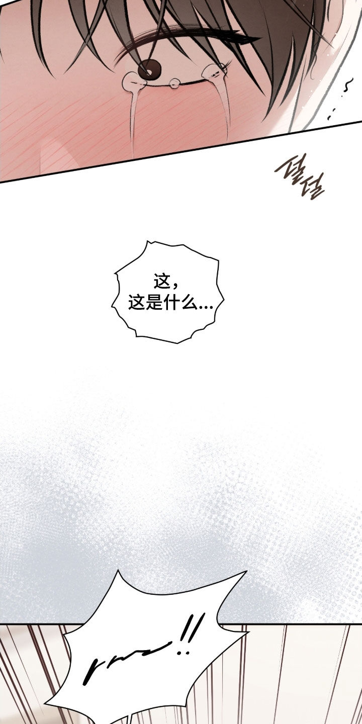 隔世追魂剧情介绍漫画,第84章：轻一点就行3图