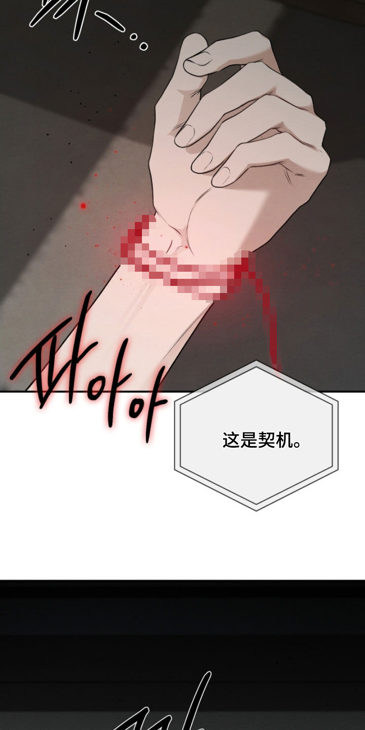 隔世契约蛙漫叫什么漫画,第86章：奇迹和悲剧1图