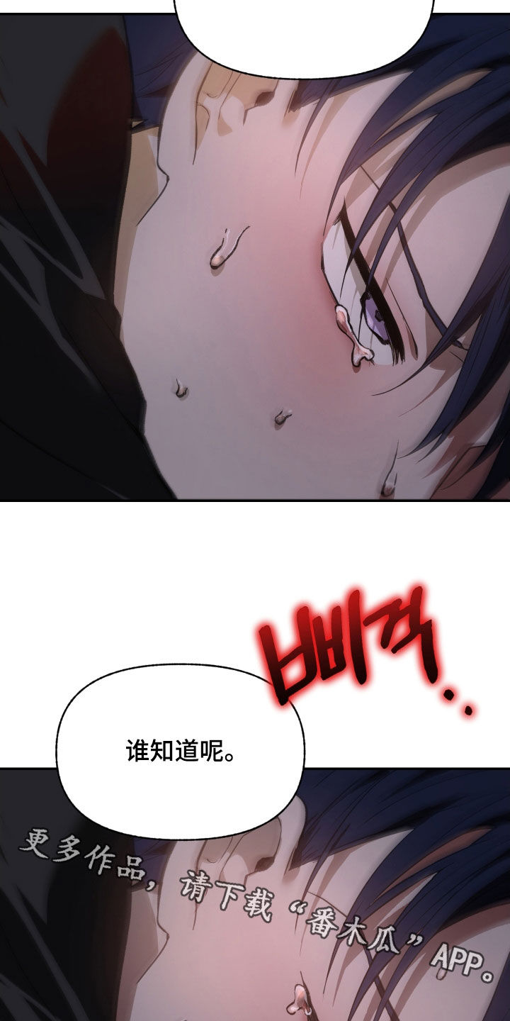 我的小笨熊漫画,第73章：【第二季】肯定会累2图