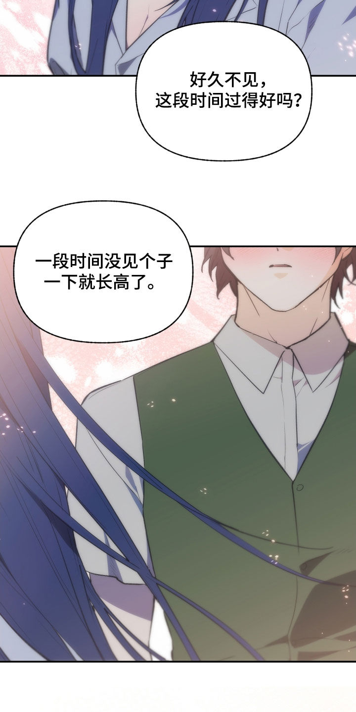 我的小笨熊漫画,第81章：【第二季】住手1图