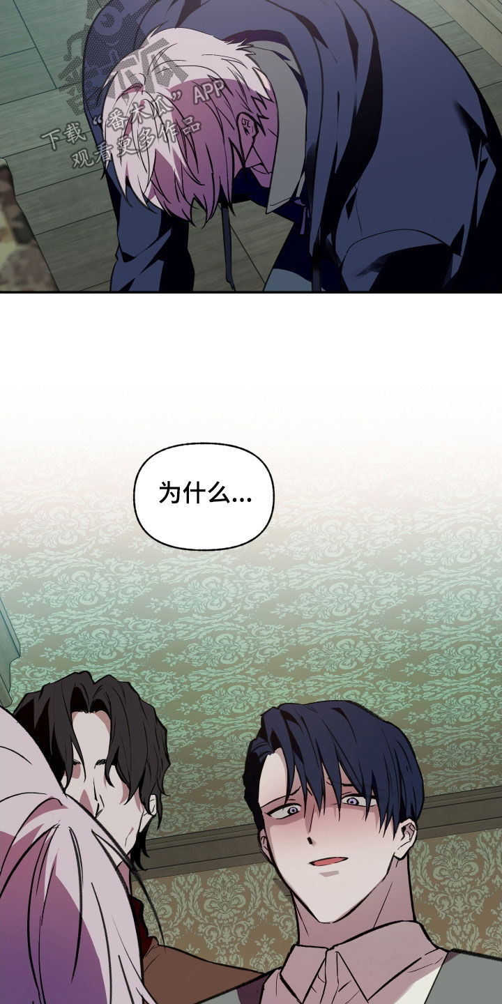 我的小笨熊漫画,第69章：【第二季】我辞职3图