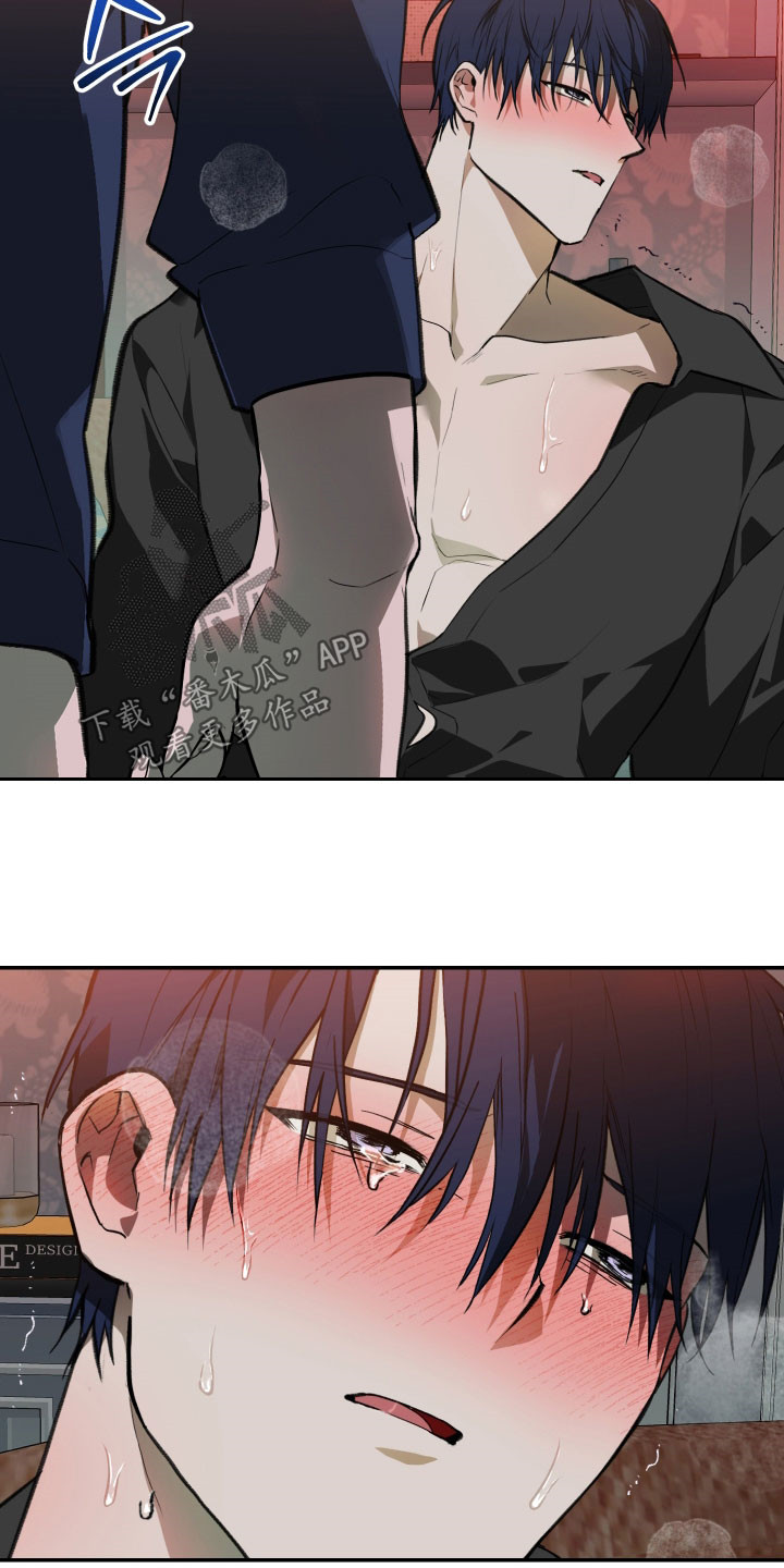 我的小笨熊漫画,第77章：【第二季】没有忘记3图