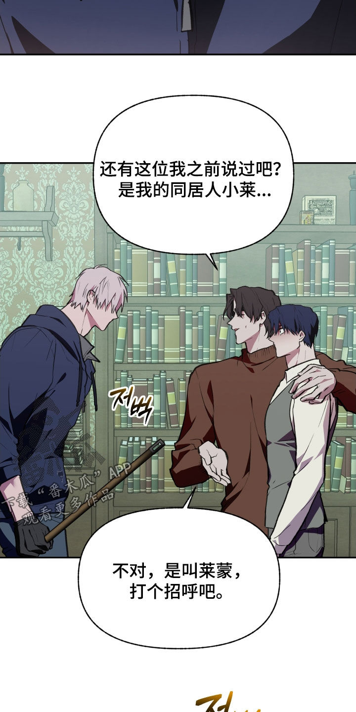 我的小笨熊漫画,第69章：【第二季】我辞职1图