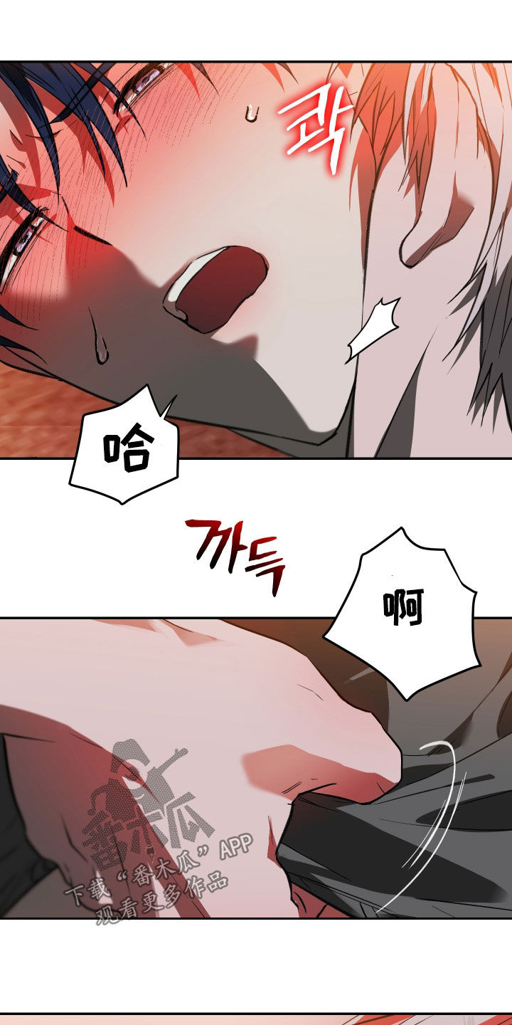 我的小笨熊漫画,第76章：【第二季】要是能喜欢我3图