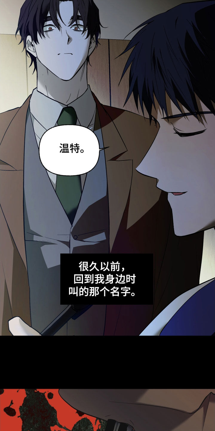 我的小笨熊漫画,第69章：【第二季】我辞职4图