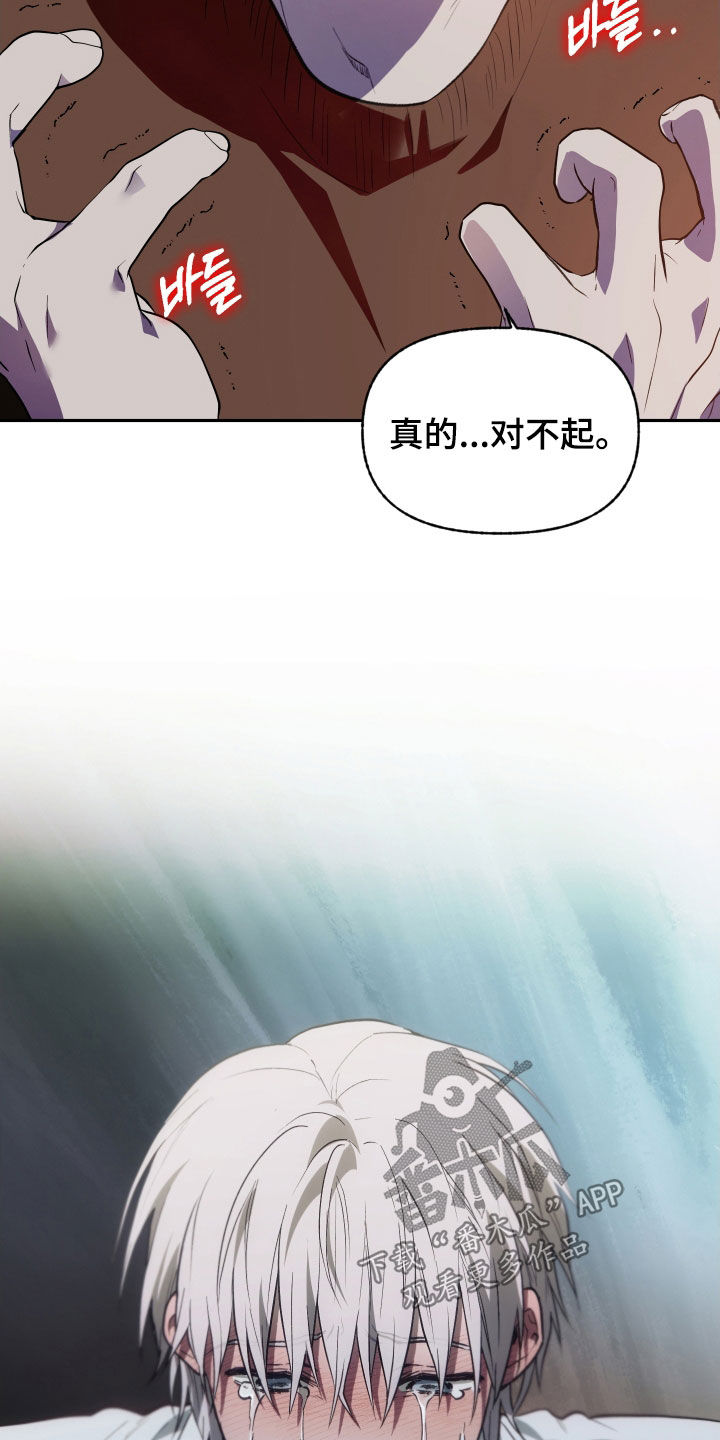 我的小笨熊漫画,第71章：【第二季】真的对不起5图