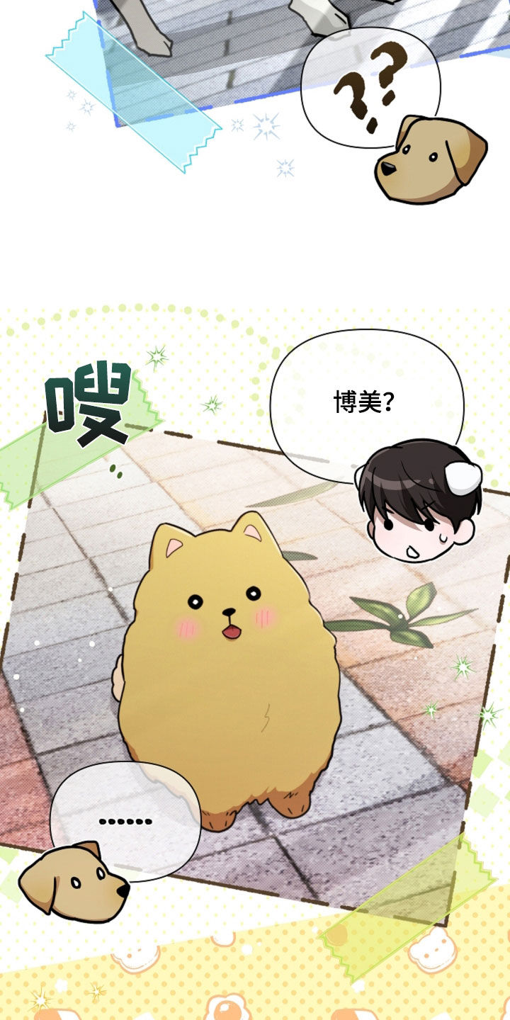小白狗奇遇记漫画,第107章：【番外】品种2图